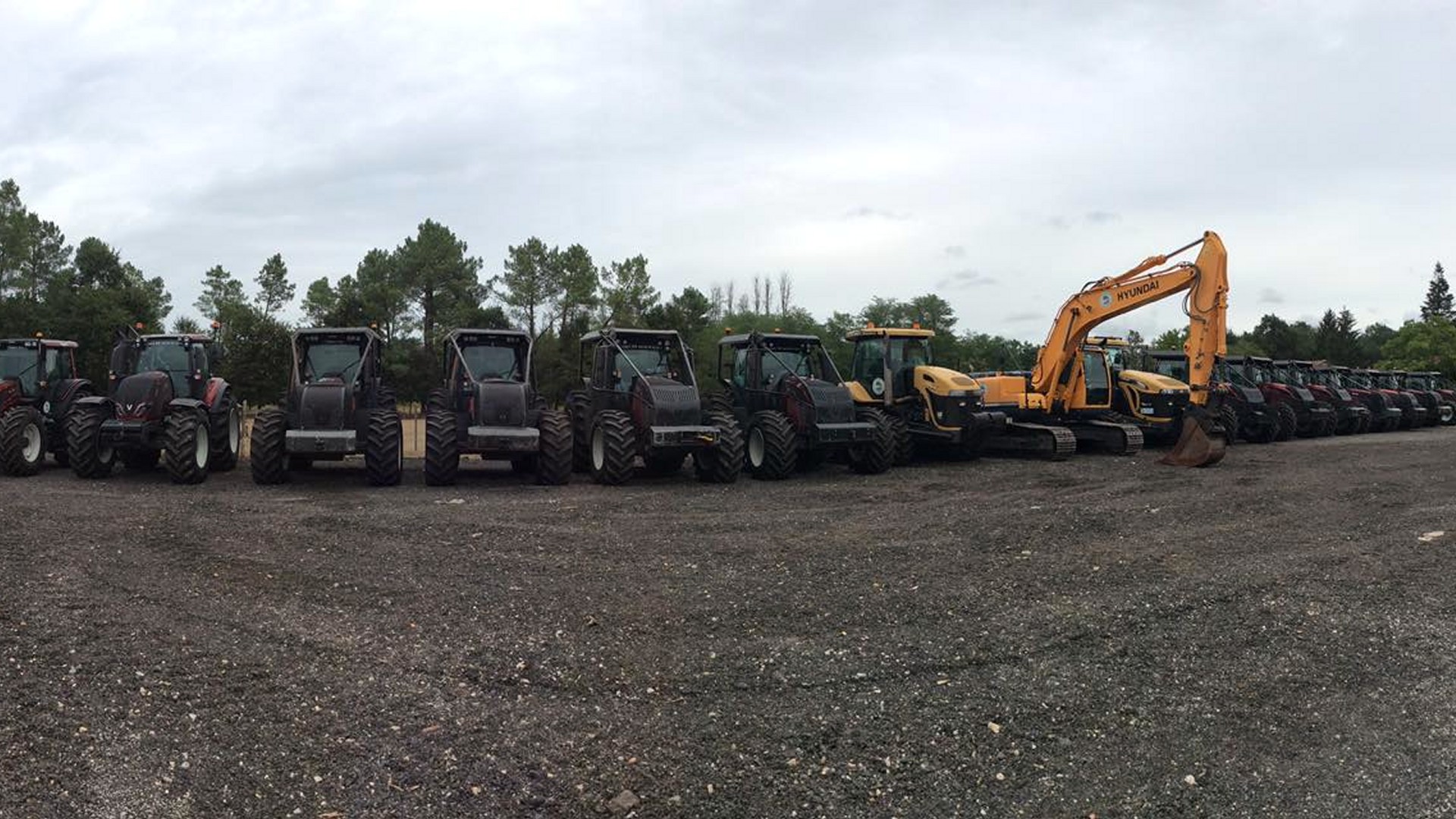 Reboisement par plantation Mont-de-Marsan